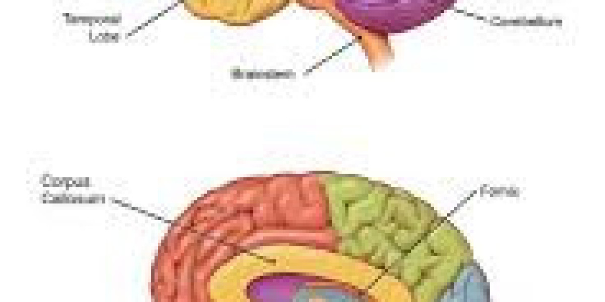 Types of brain tumor