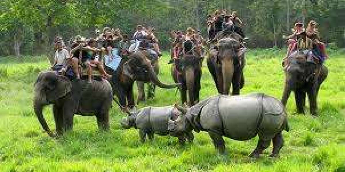 Chitwan National Park is a UNESCO World Heritage Site located in Nepal