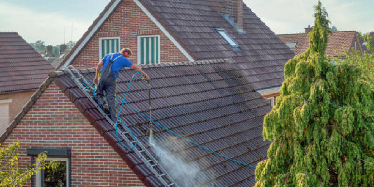 How Professional Roof Cleaning Enhances Your Home’s Aesthetic and Protects Its Value