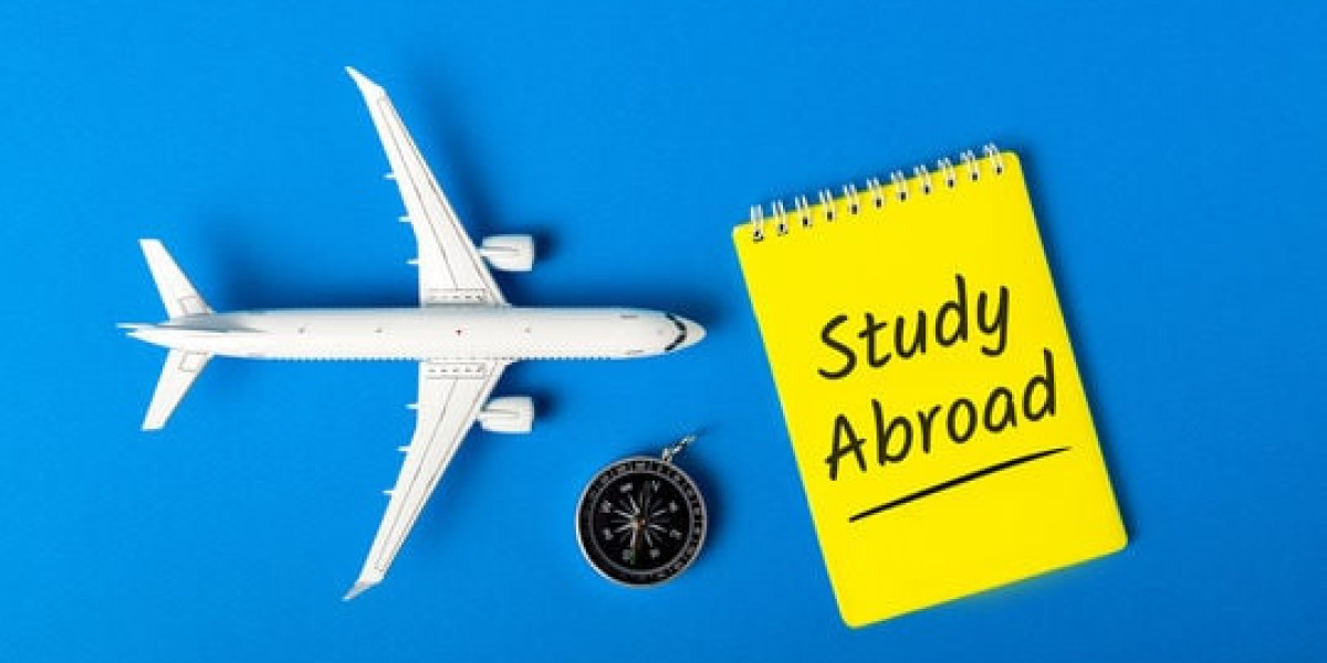 Language Proficiency Tests for Studying Abroad: IELTS, TOEFL, and More