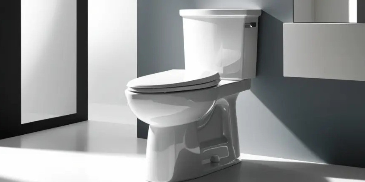 Step-by-Step Guide to Installing a Glacier Bay Toilet