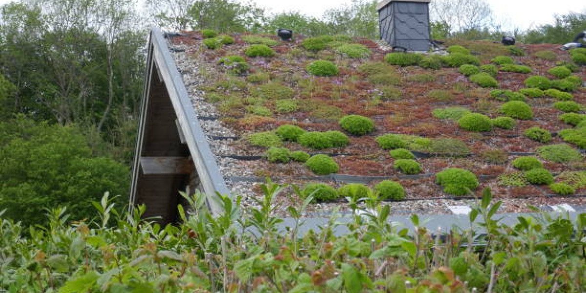 Transforming Urban Spaces with Green Roof Services