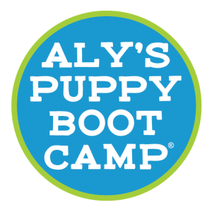 Aly's Puppy Boot Camp - Dog Obedience Training Near Me - House Training Courses for Bernedoodle, Labradoodle, Goldendoodle, and Service Dogs - Potty & Crate Training - Puppy Biting Prevention Program - Dog Tricks - Alys Puppy Bootcamp