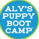 Alys Puppy Boot Camp