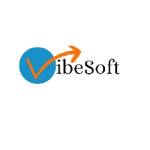 VibeSoft web development