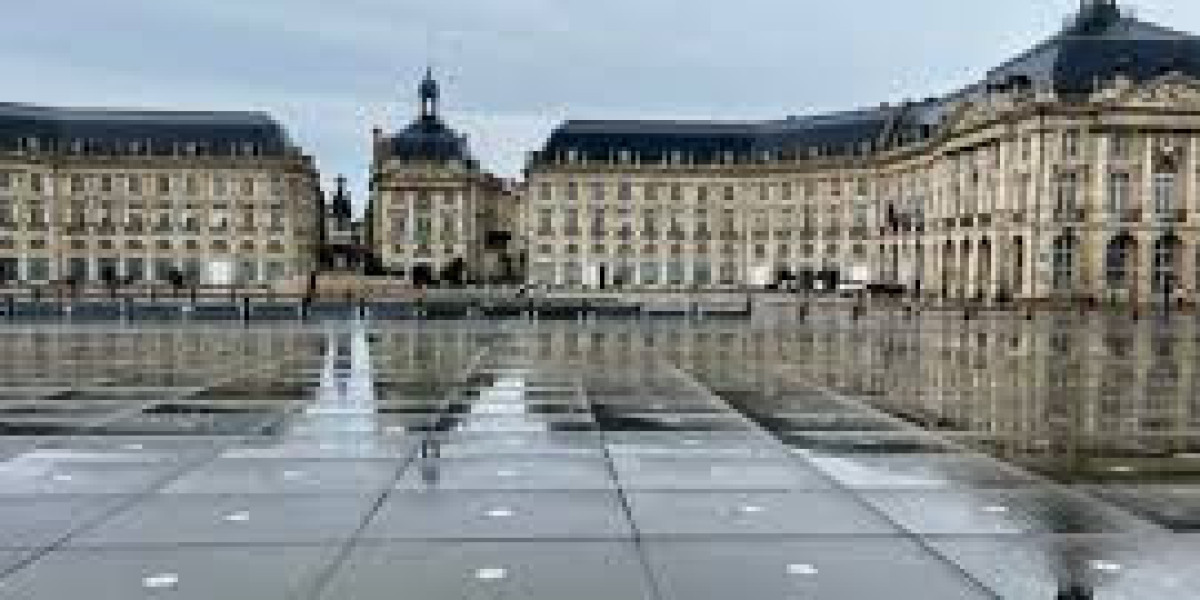 What Are the Best Bordeaux Food Tours?