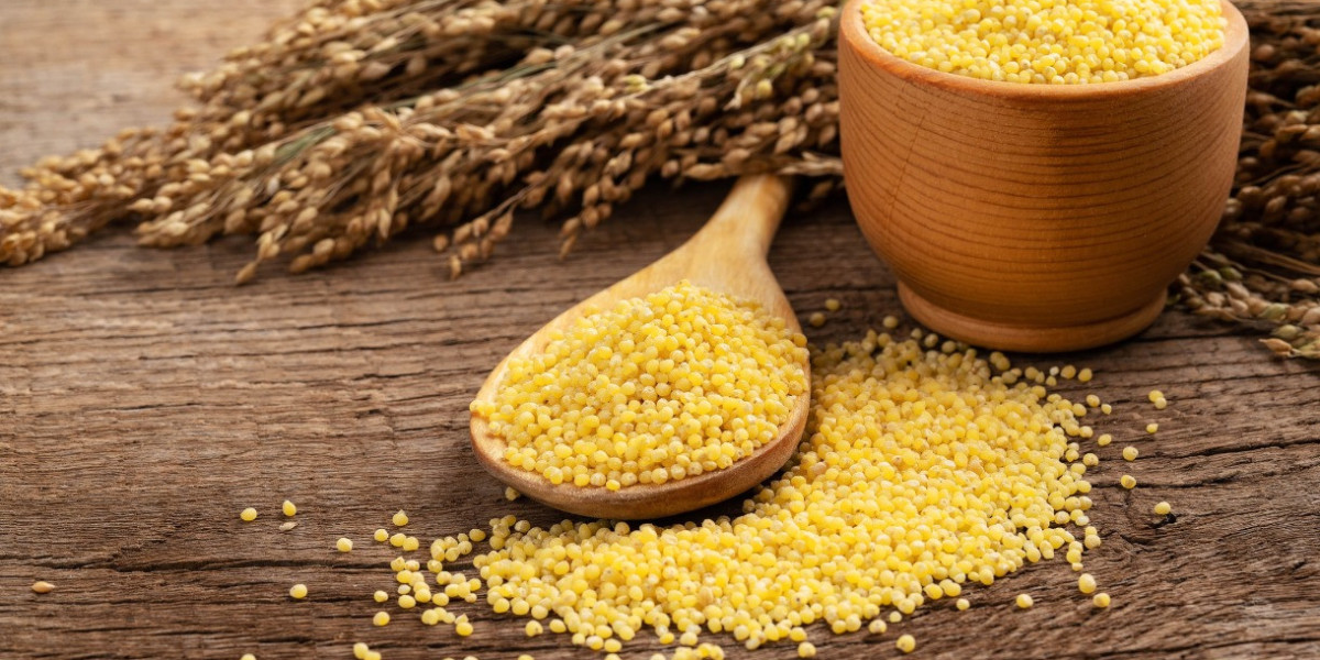 Millet Processing Plant Project Report: Raw Material Requirements and Costs