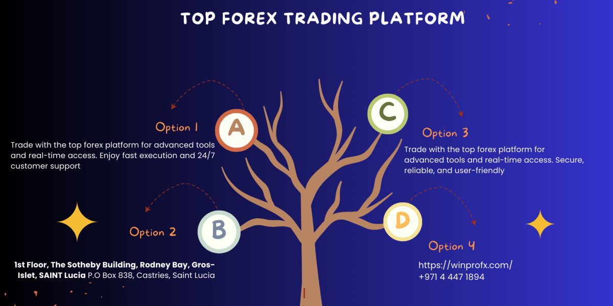 Top Forex Trading Platform