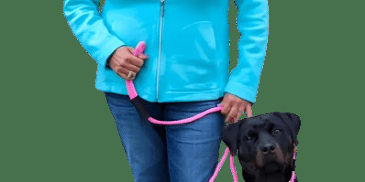 WHY THE GOOD WALKER DOG LEASH ENHANCES YOUR DOG WALKS