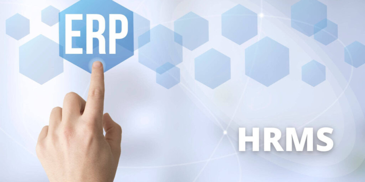 ERP and HRMS Software: Redefining Efficiency in Modern Business