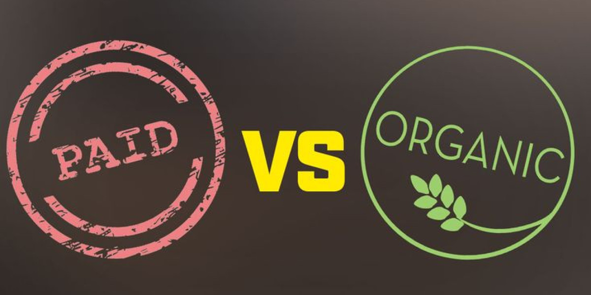 Paid vs Organic MCA Lead Generation: Which Works Best?