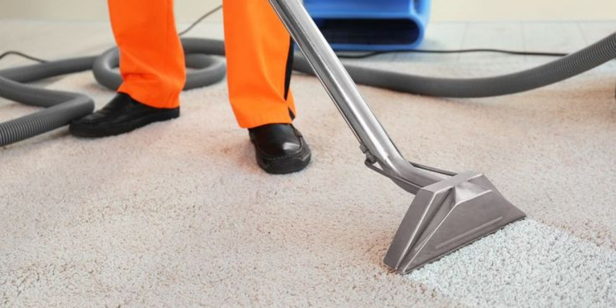 What Are the Professional Tips for Carpet Cleaning Staten Island?