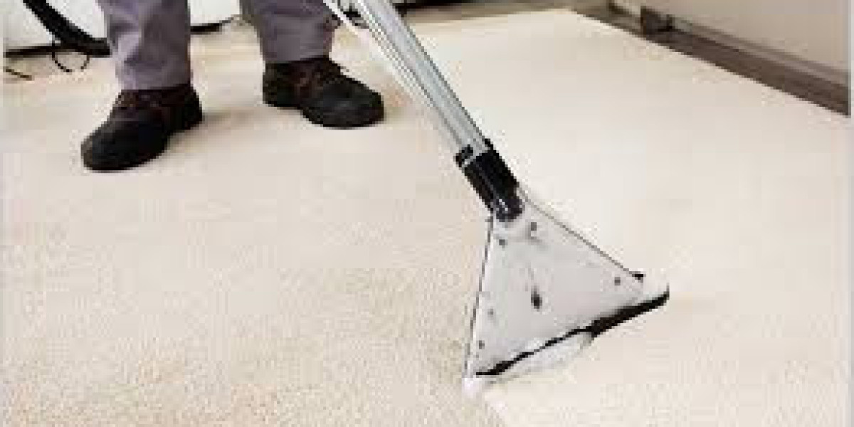 The Ultimate Guide to Home Comfort Through Professional Carpet Cleaning