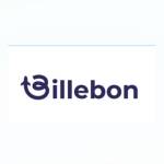 Billebon Pillow