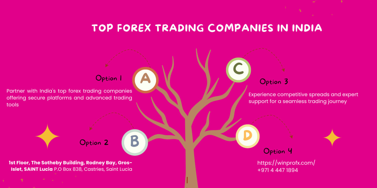 Top Forex Trading Companies In India