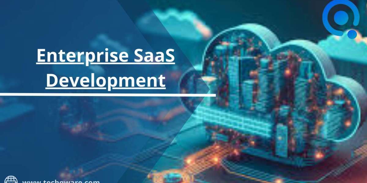 How is Enterprise SaaS Development Services Industry