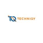 Techniqy Consulting Solutions