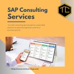 Techcarvings SAP Consulting service