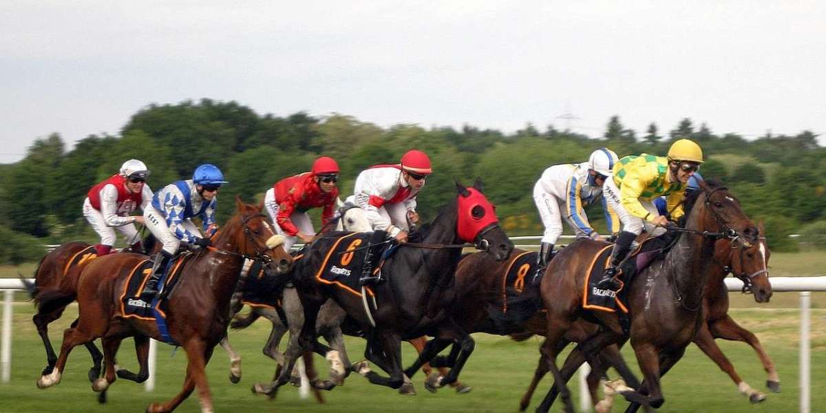 Duel du Quinté: The Thrilling Head-to-Head Horse Racing Challenge