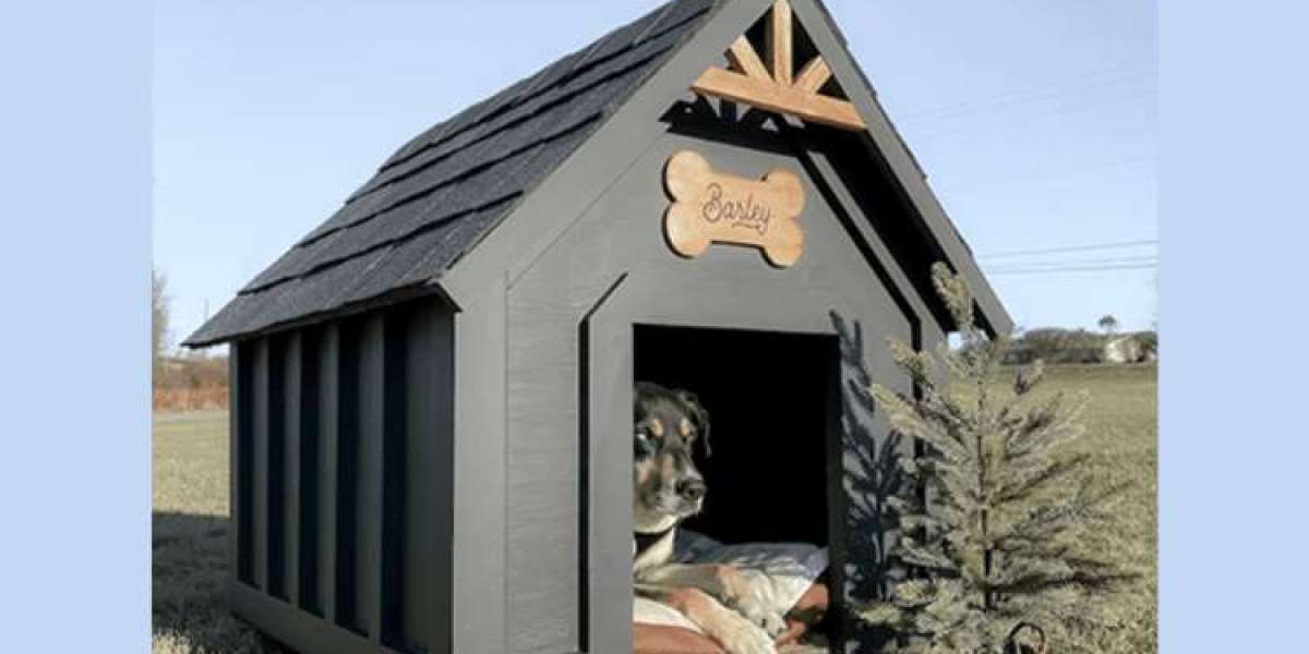 How to Choose the Best Dog House in Bangalore for Your Pet