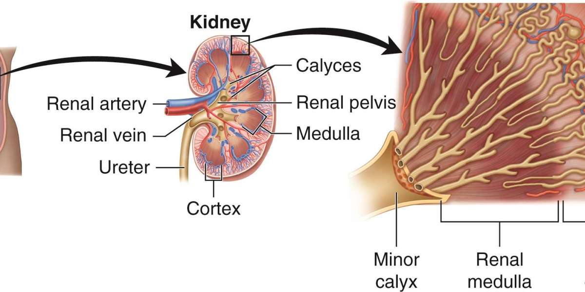 JARDIANCE for CKD: A Turning Point in Nephrology?