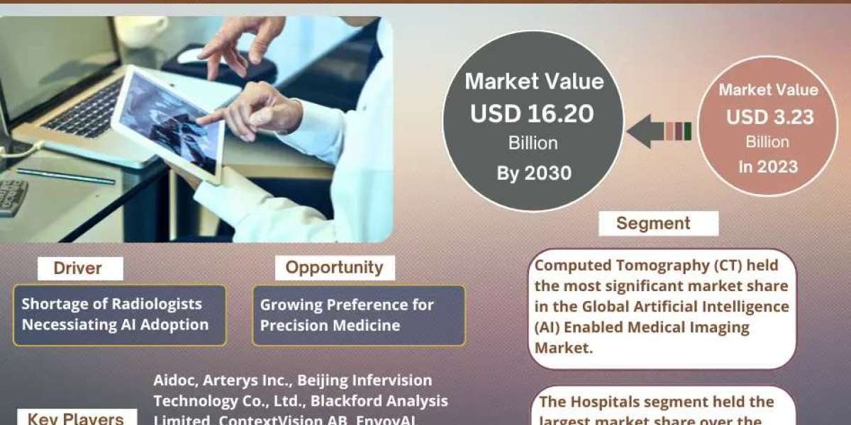 Artificial Intelligence (AI) Enabled Medical Imaging Market Size, Growth, Share and Competitive Landscape - 2030