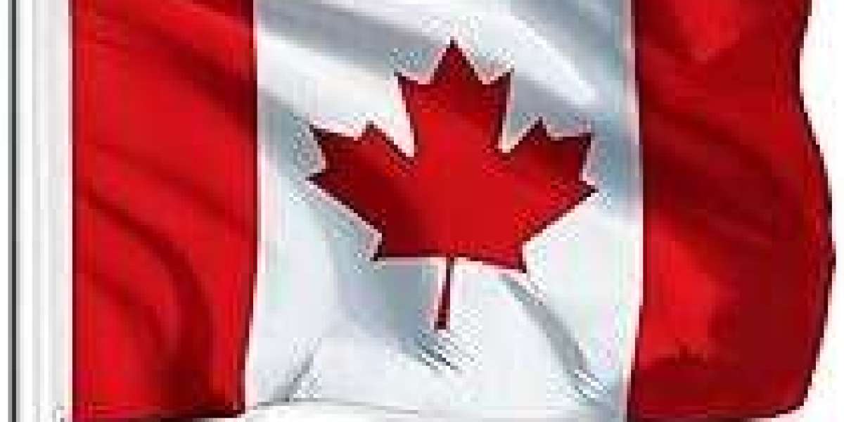 Top Canada Immigration Consultant In Dubai