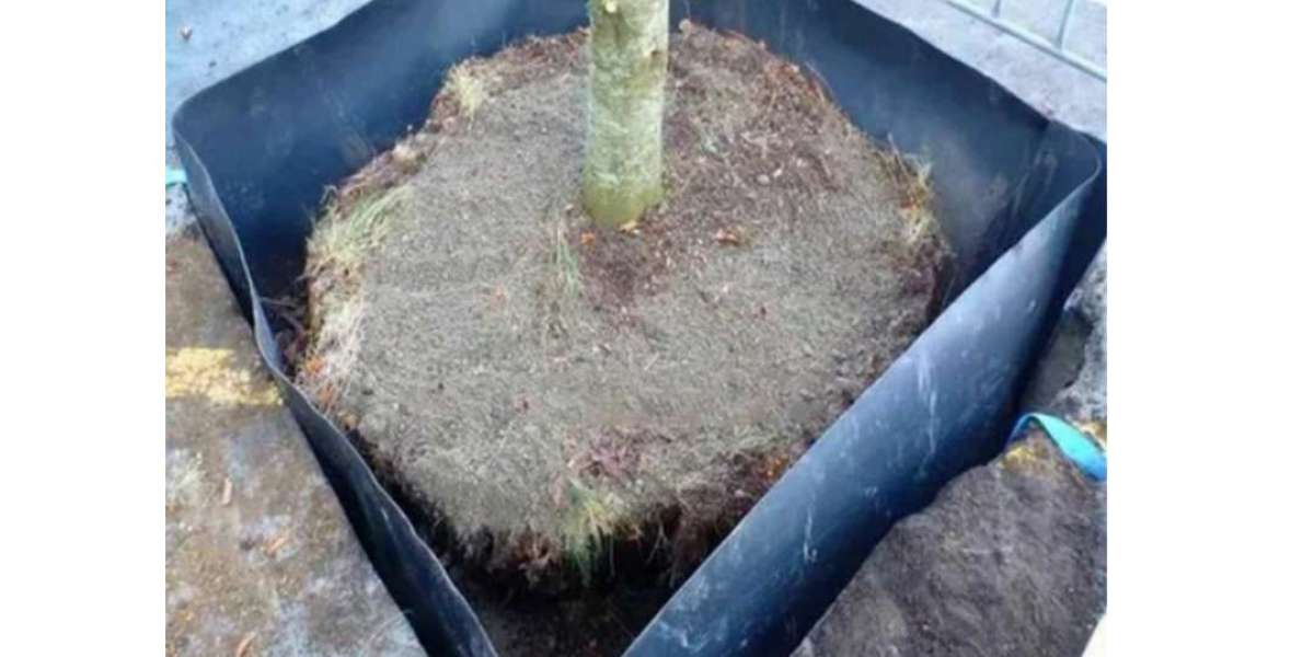 Shield Growth: Install The HDPE Root Barrier For Plant Control