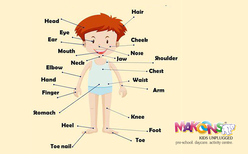 Teaching Preschoolers All Body Parts Names in English - Makoons