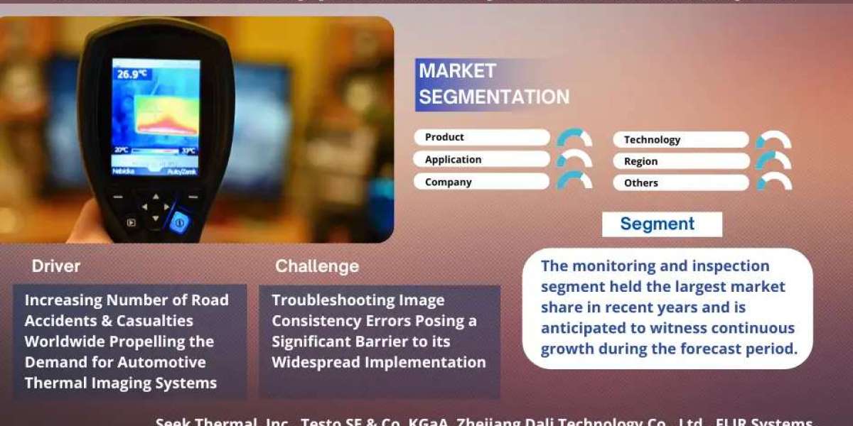 Automotive Thermal Imaging Market Demand, Drivers and Opportunities 2024-30