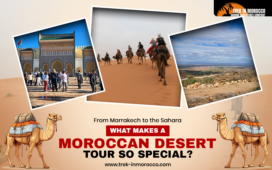 From Marrakech to the Sahara: What Makes a Moroccan Desert Tour So Special? – Trek in Morocco