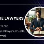 abogado divorcio leesburg va