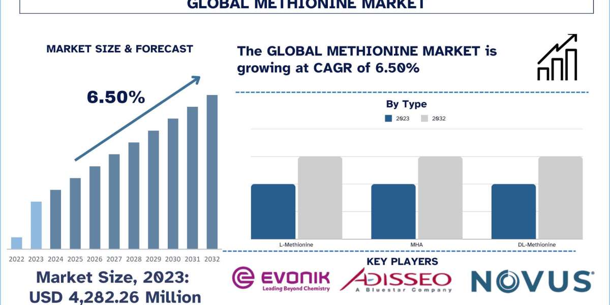 Methionine Market Analysis by Size, Share, Growth, Trends, Opportunities and Forecast (2024-2032) | UnivDatos