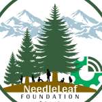 needleleaf foundation