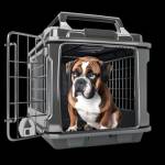 dog carrier