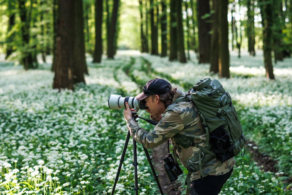 Basic Wildlife Photography Gear List - Photography Talk