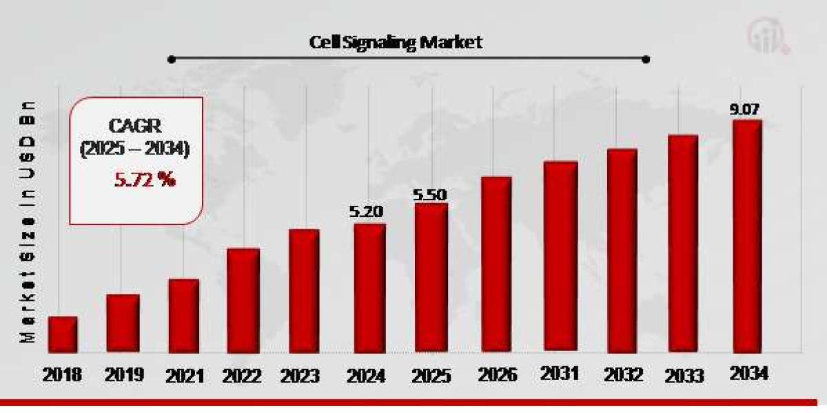 Decoding Cellular Communication: The Dynamic Landscape of the Cell Signaling Market