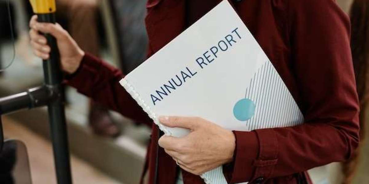 What Is Summary Annual Report