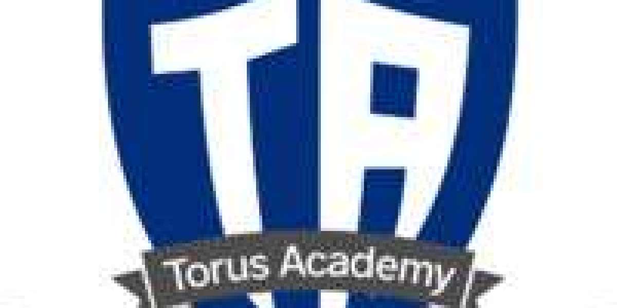 Master O-Level Subjects with Expert Tutors at Torus Academy