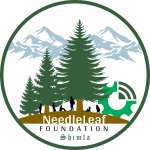 Needleleaf Foundation