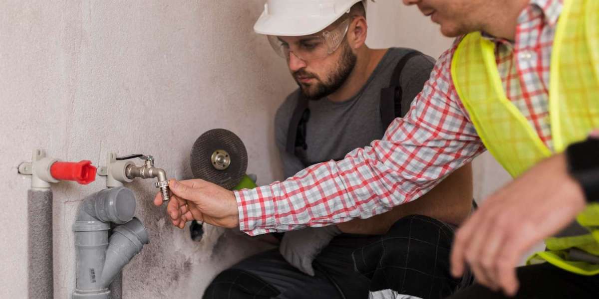 Why Professional plumbing services in River Grove, IL Matter