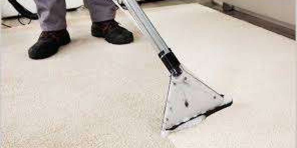 Transform Your Home’s Feel with Regular Carpet Cleaning