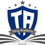 Torus academy O levels tutors