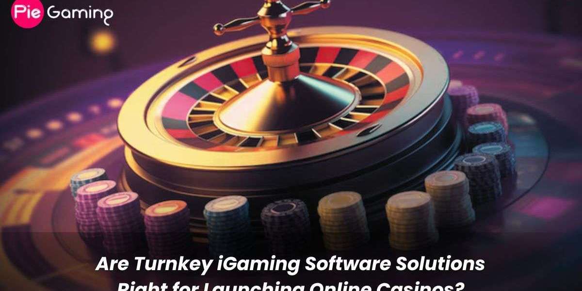 Are Turnkey iGaming Software Solutions Right for Launching Online Casinos?