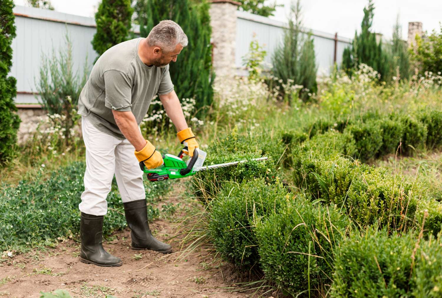 Lawn Maintenance in Monroe Township, NJ