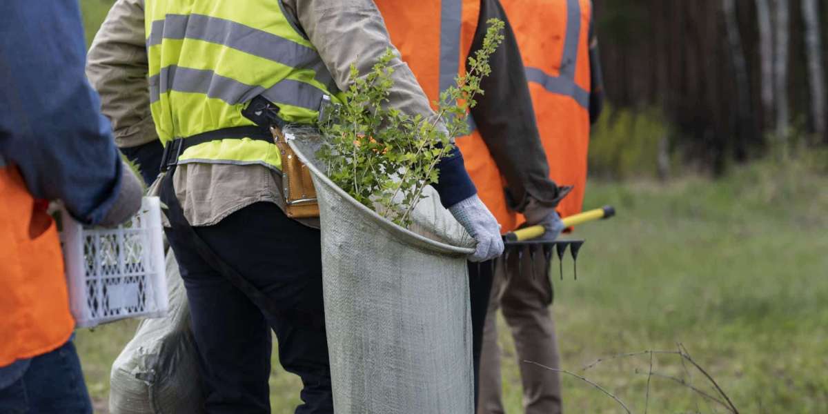 Affordable Tree Service Near You: Save Money, Keep Your Yard Beautiful