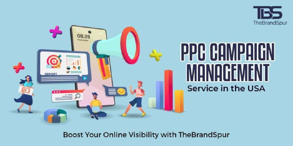 Video Ads in PPC Campaign Management Services in USA