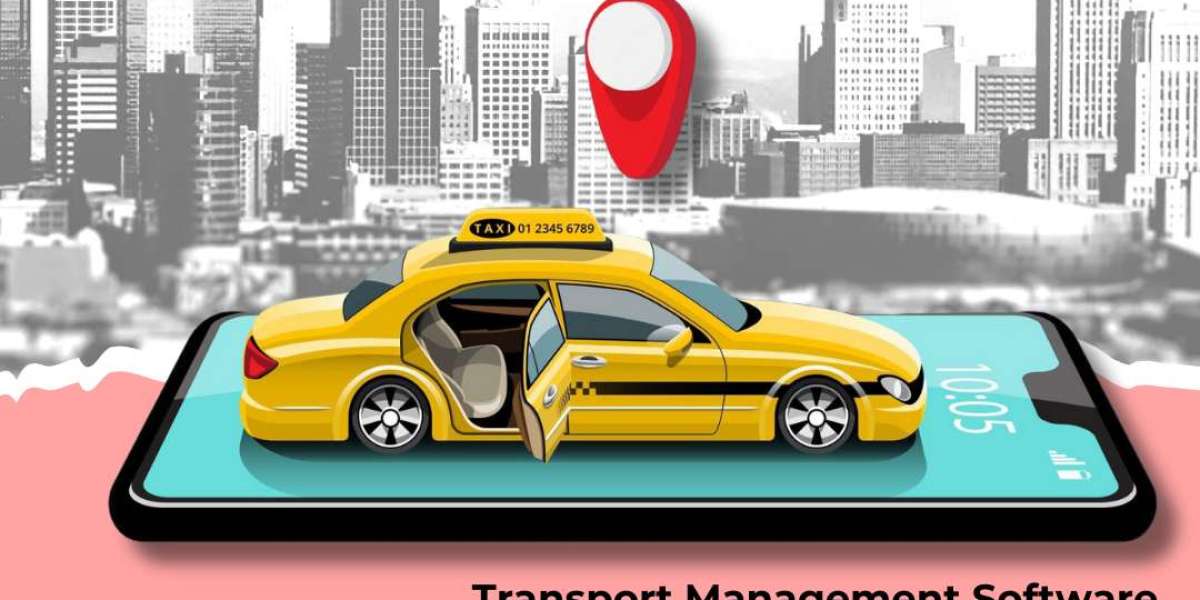 How Does Transport Management Software Tackle The Obstacles?