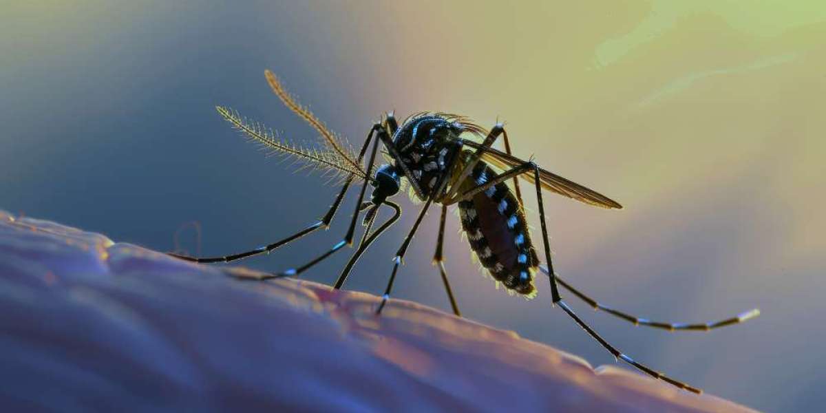 Dengue Fever Market Growth and Challenges: What Lies Ahead?