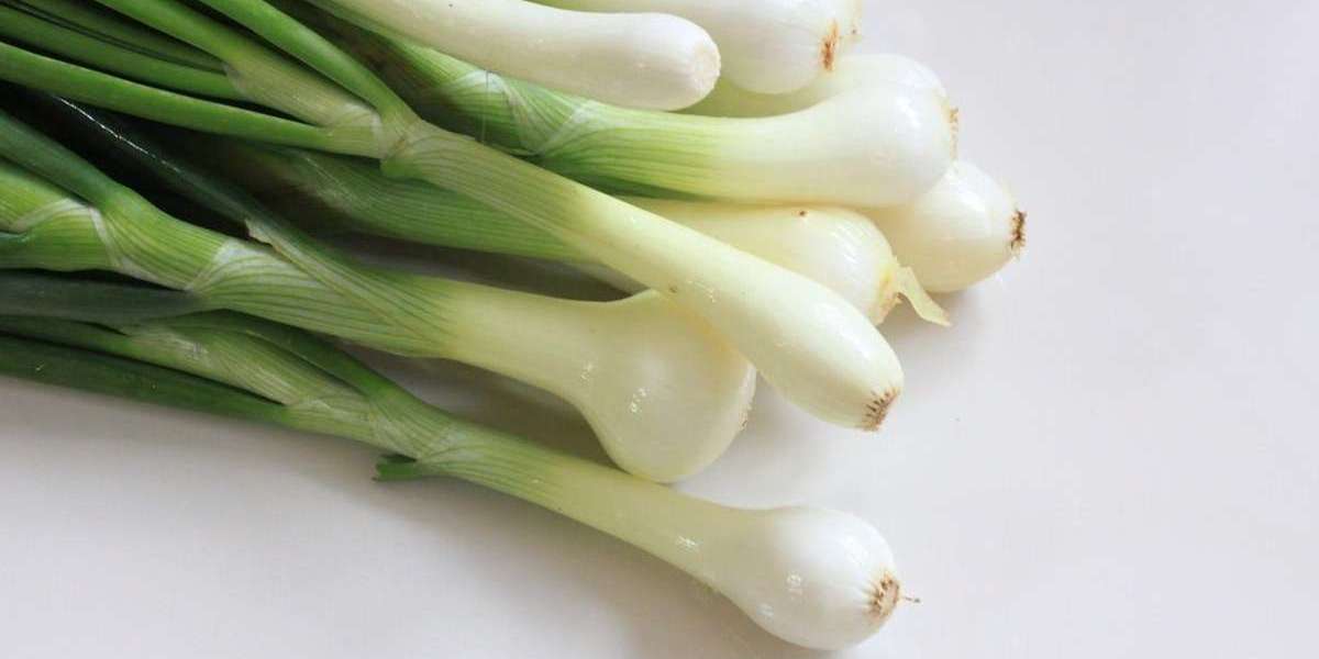 A Beginner’s Guide to Growing Bunching Onions